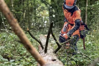 b4f55d88-3dca-4b91-f73e-08dd7609a50c